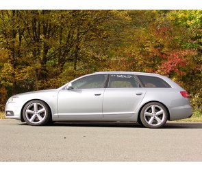 Eibach Tieferlegungsfedern Sportline für Audi A6 Typ 4F/C6 (Avant) 